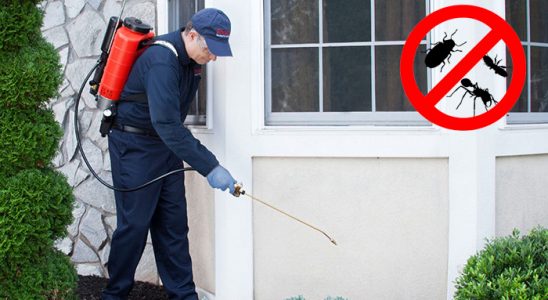 Çelikhan Hamam Böceği İlaçlama böcek ilaçlama ve haşere kontrolü — ilaclama-tr.com